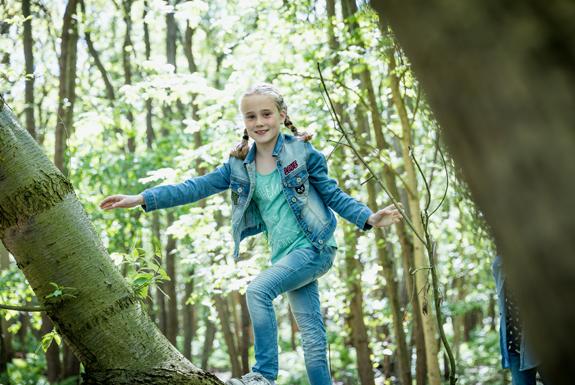 Waldspaziergang | Bospark De Schaapskooi