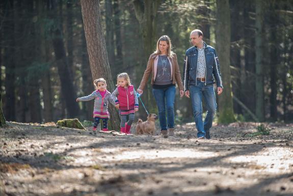 Durch den Wald spazieren gehen | Bospark De Schaapskooi