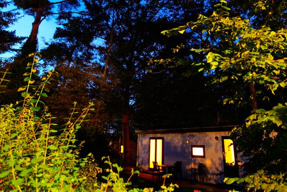 Freistehendes Chalet | Bospark De Schaapskooi