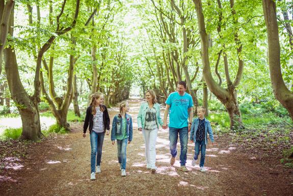 Durch den Wald spazieren gehen | Bospark De Schaapskooi