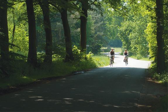 Fahrradvermietung | Bospark De Schaapskooi